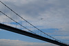 Bosphorus Bridge   HFF!