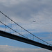 Bosphorus Bridge   HFF!