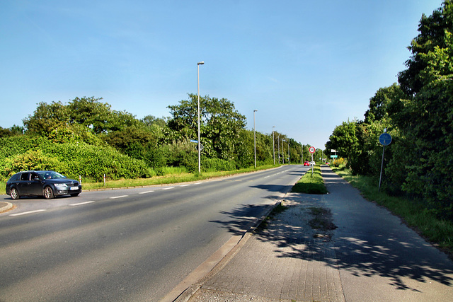 Fernewaldstraße (Oberhausen-Königshardt) / 11.05.2024