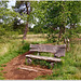 The bench in the peat bog - HBM