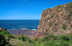 Bombo wall