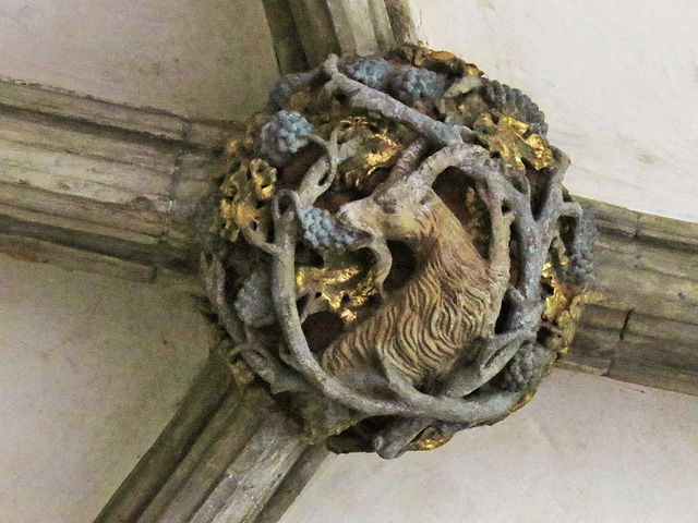 norwich cathedral cloister, boss