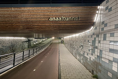 Anaaltunnel