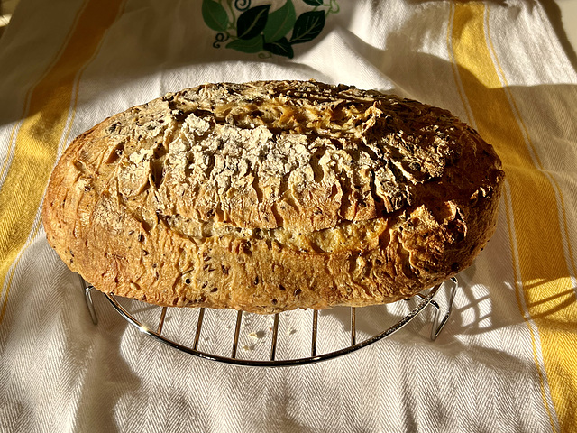 Sunshine and seeded sourdough fresh from the oven!