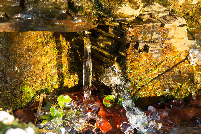 Eiszapfen am Weg