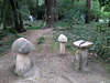 Stone mushrooms.