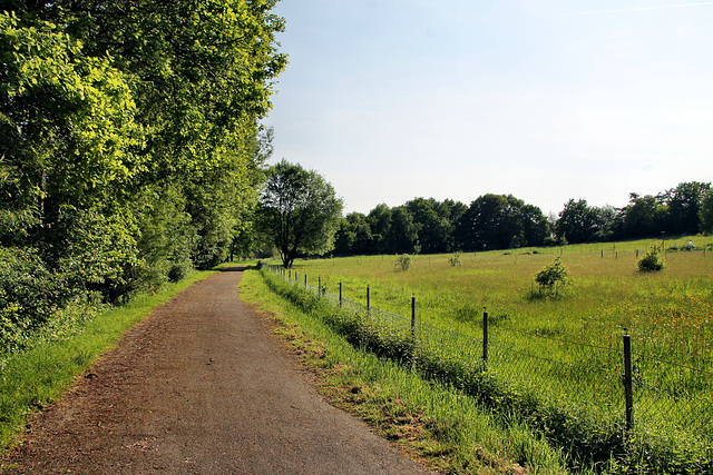 Weg nahe der Sterkrader Heide (Oberhausen-Königshardt) / 11.05.2024