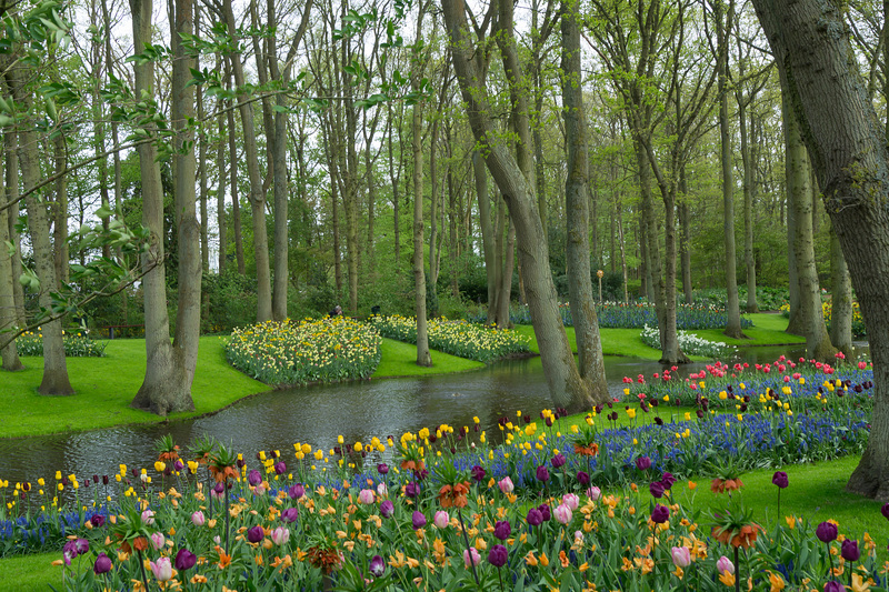 Niederlande - Keukenhof DSC09543