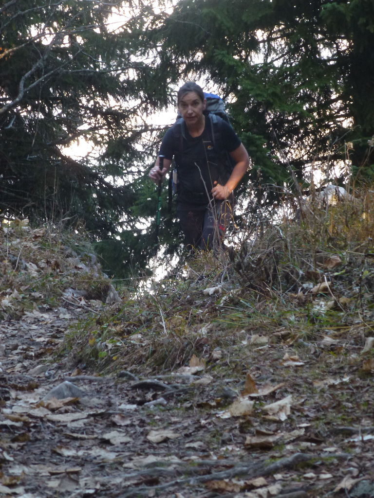 20151111 Rando Vercors Col de Montaud (78) al
