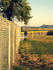 Baseball fence
