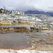 Mammoth Hot Springs, Lower Terraces