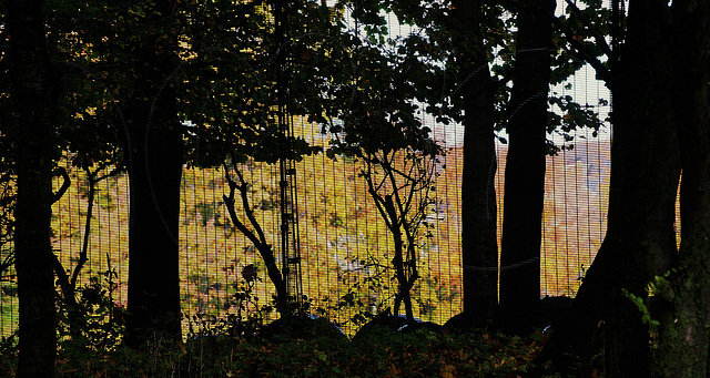 The grass isn't always greener on the other side of the fence!!! The grass isn't always greener on the other side of the fence!!!