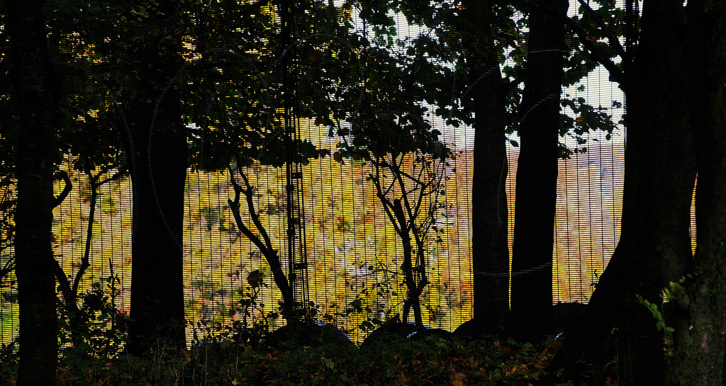 The grass isn't always greener on the other side of the fence!!!