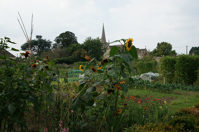 Lacock Abbey Gardens