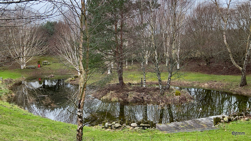 Pond as mirror