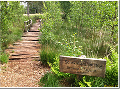 Swinging grass footbridge, step on your own risk.