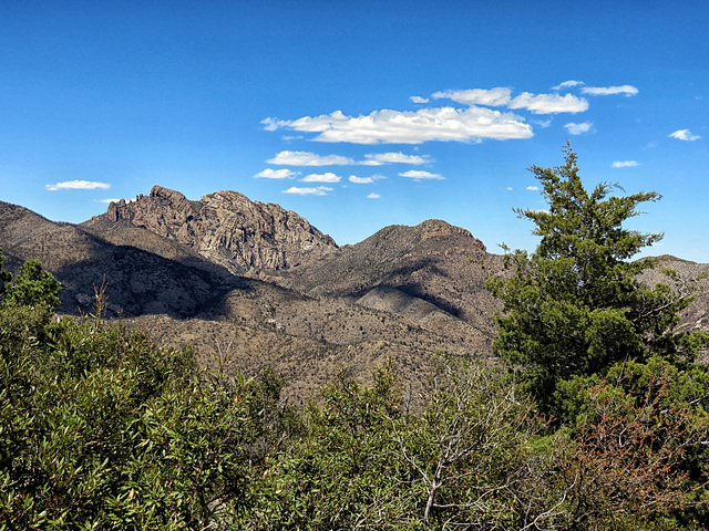 Cochise Head