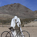 Rhyolite Sculptures