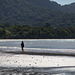 Cape Tribulation