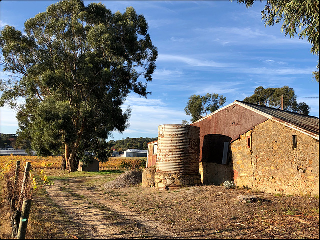 HFF from Summertown, Australia