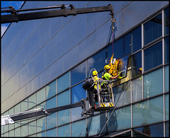 window replacement