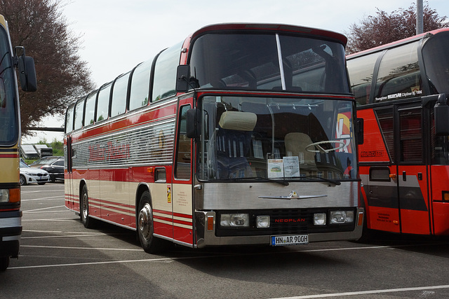 Omnibustreffen Sinsheim Speyer 2023 415