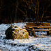 Snowy bench - SBM!