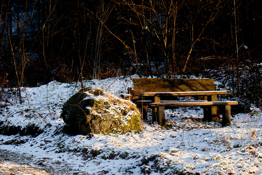 Snowy bench - SBM!