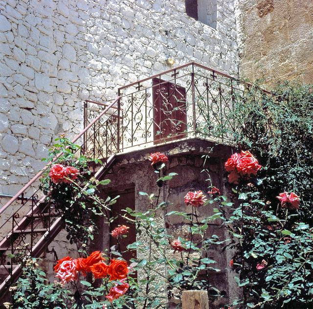 Wishing everybody a HFF  - Monastery Sta Catarina 14 May 1981