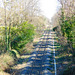 Chemin de fer derrière le parc...