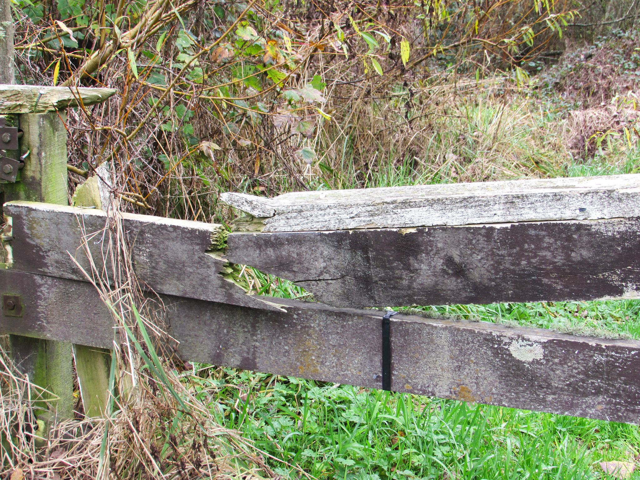 Broken Fence.