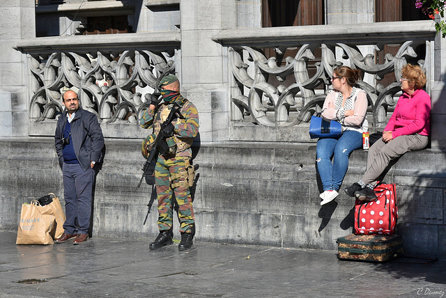 Pas facile de prendre le soleil sous ce camouflage !