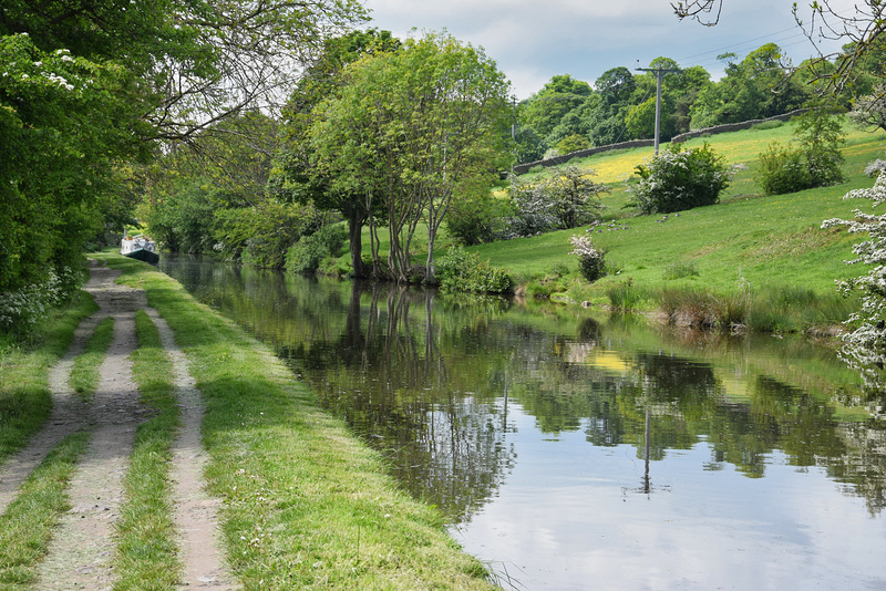 Canalside reflections