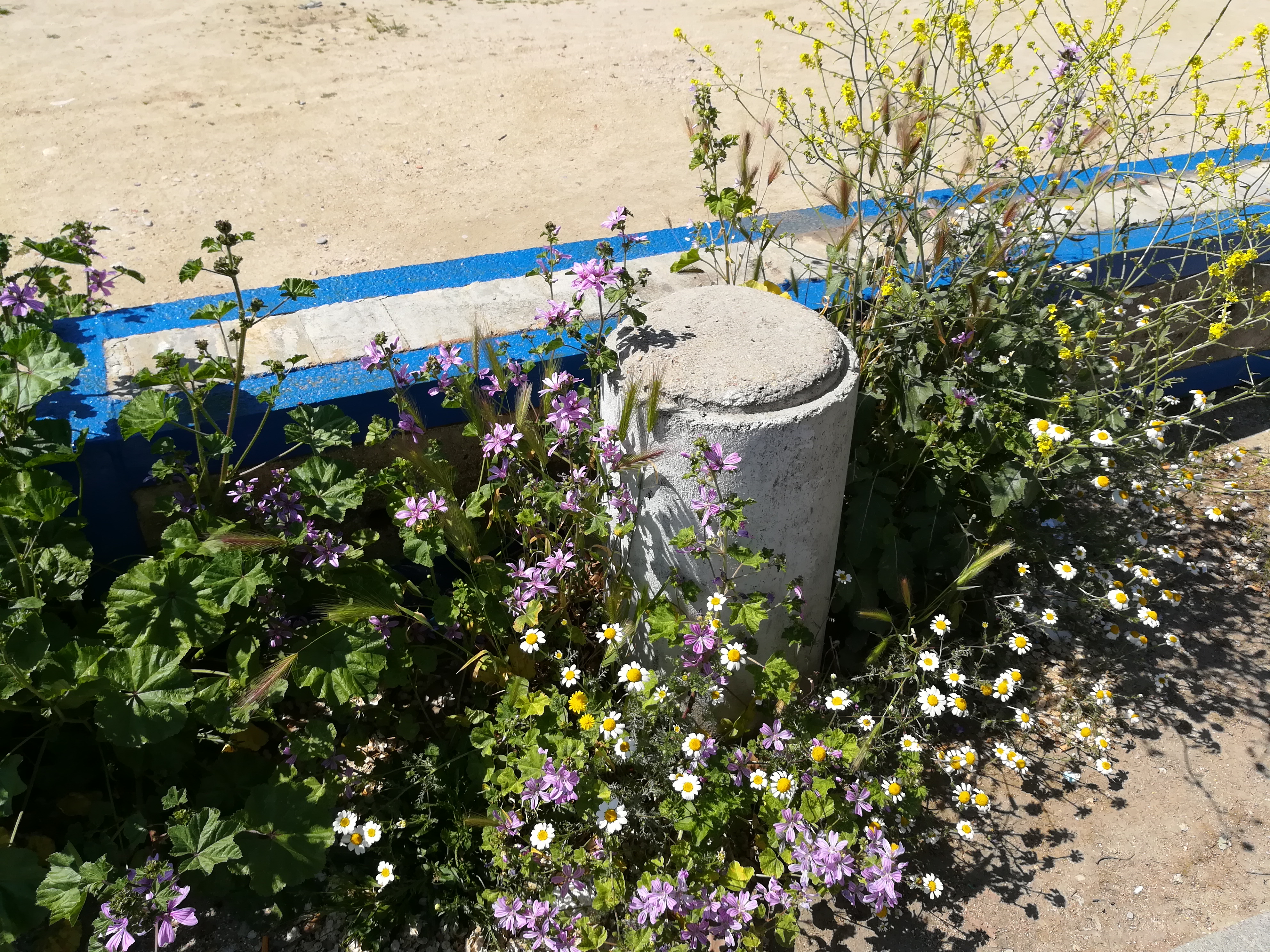 Happy bollard