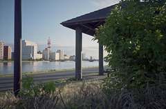 Riverbank