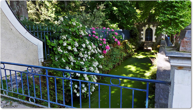 ANGERS parc de l'arborétum ANGERS parc de l'arborétum