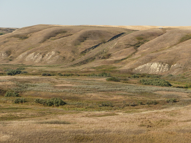 In the middle of nowhere - spot the truck