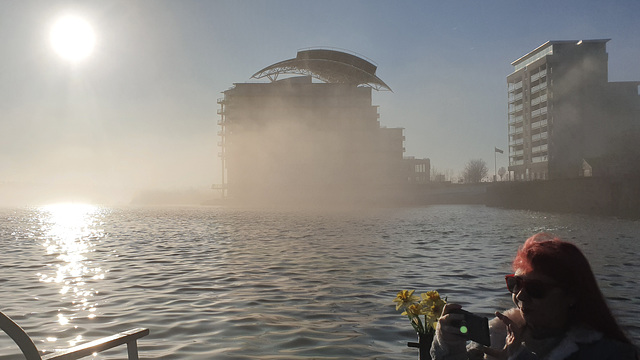 Mist on the Bay