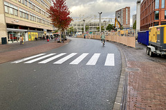 Normal zebra crossing