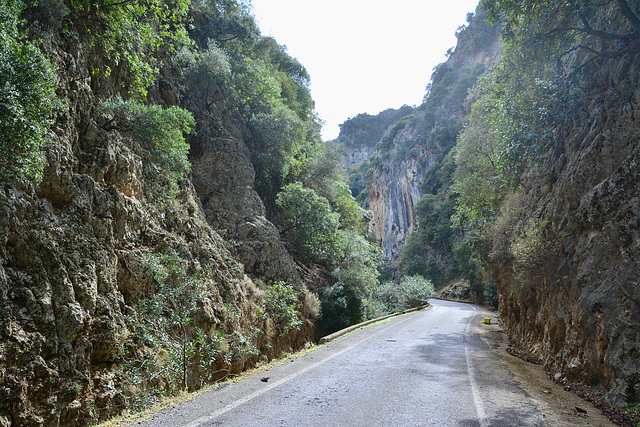 Crete 2021 – Therisos Gorge