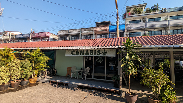 Cannabis shop avec un "N" manquant