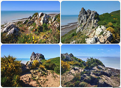 Collage Rocher