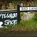 Red Lane, Abbotsbury
