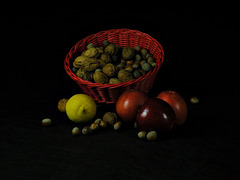 Atelier photo: Nature morte avec  l'Utl Dinan (22)