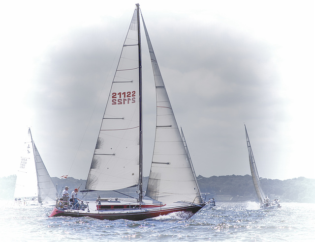 bw-SailboatRace