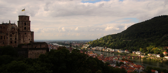 Blick über Heidelberg