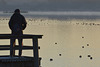 #12 - Steve Paxton - Too Cold leave it for the Birds - 13̊ 2points