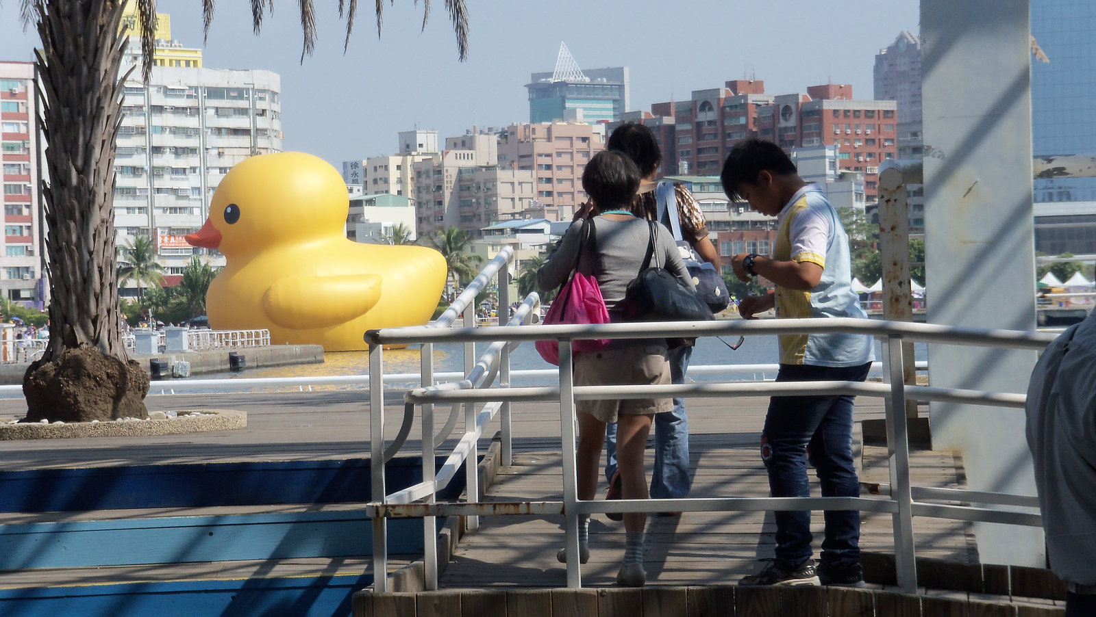 Duck-w168