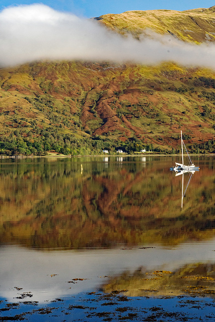 #47 - Ecobird - Loch Leven Colours - 1̊ 6points