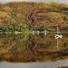 #47 - Ecobird - Loch Leven Colours - 1̊ 6points